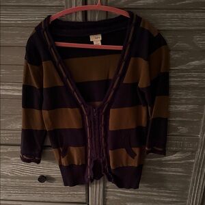 Daytrip Purple and Brown Women's Sweater